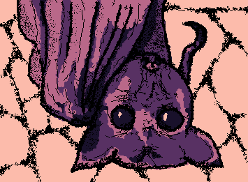🦇🦇🦇🦇🦇🦇🦇
