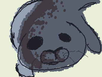 fatty seal I made in 3 mins