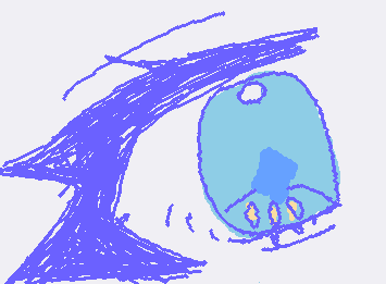 目