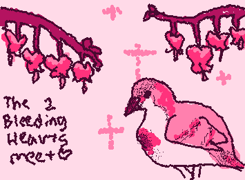 The bleeding heart is one of my favorite flowers