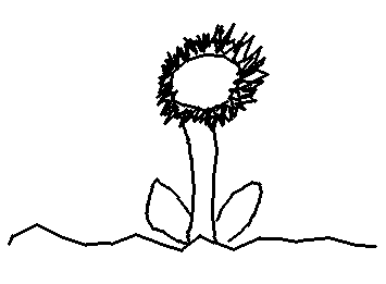 下手だけれどリクエスト通りひまわり書いてみた！次は、色を付けて書くよ！::wp-frog-party::