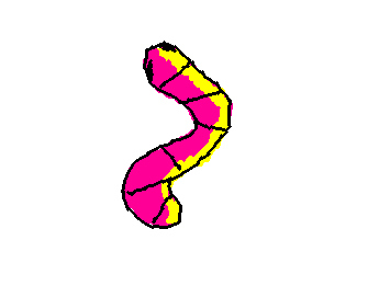 worm