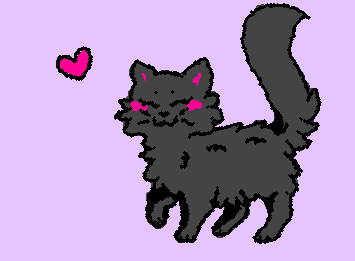 kitty