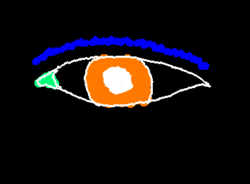 I did the photonegative