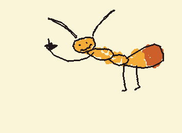sweet ant
