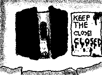 Whenever I leave the closet open I feel like this will happen.