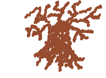 No leafs wiggly tree