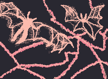 Bats