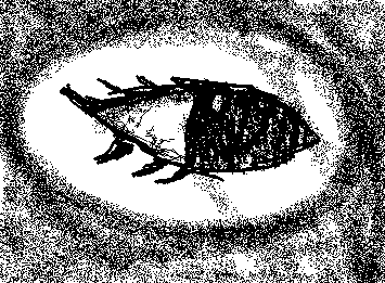 Honestly I think I cooked with this masterpiece :p