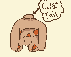 あなたはこのくまがどうなってるかわかりますか？　Do you know what's happening with this bear?