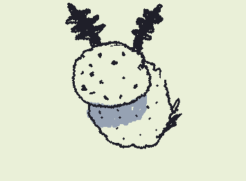 Reveal of an animal my oc is based on (+ fluffy moth) also a SEA BUNNY