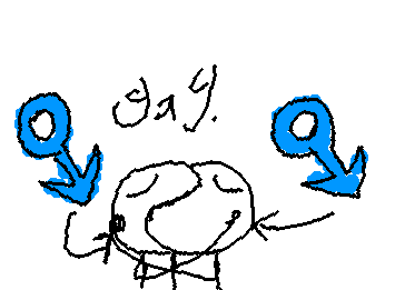 gay