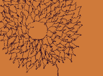 ¿Y este? ¿Tampoco tiene nombre? Ah, pero... me recuerda a un girasol.