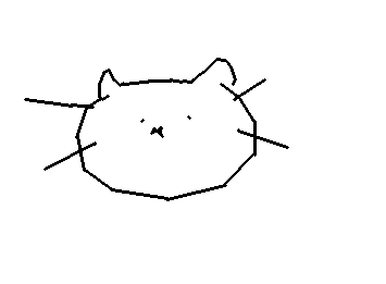 ねこ？