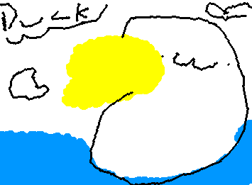 This is my pet duck in the pond
