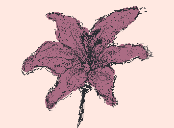 Lilies cause they're my favourite flowers :> 
:P