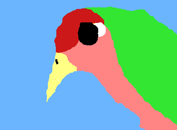 セキセイインコでーーす