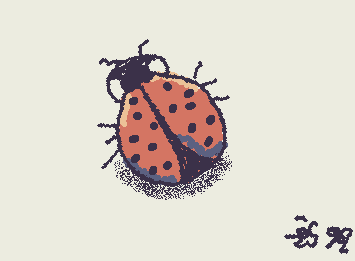 ladybug? Ladybird?