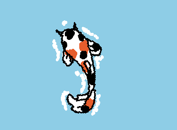 koi fish