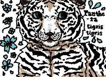 White tiger for @Caphy (hopefully you're tagged correctly)!! Sorry this is so late, and it's kinda basic and nowhere NEAR as cool as your arts, but I tried :D