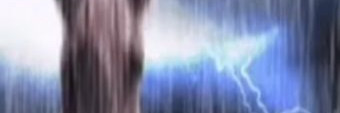 Profile banner