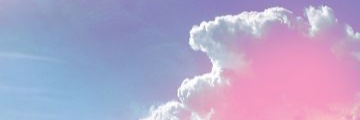 Profile banner
