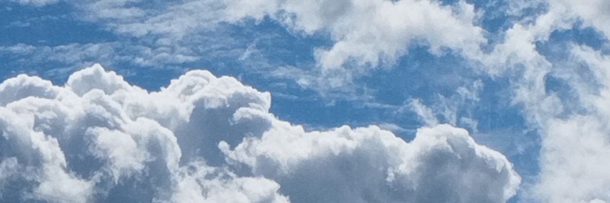 Profile banner