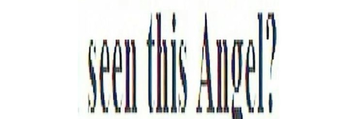 Profile banner