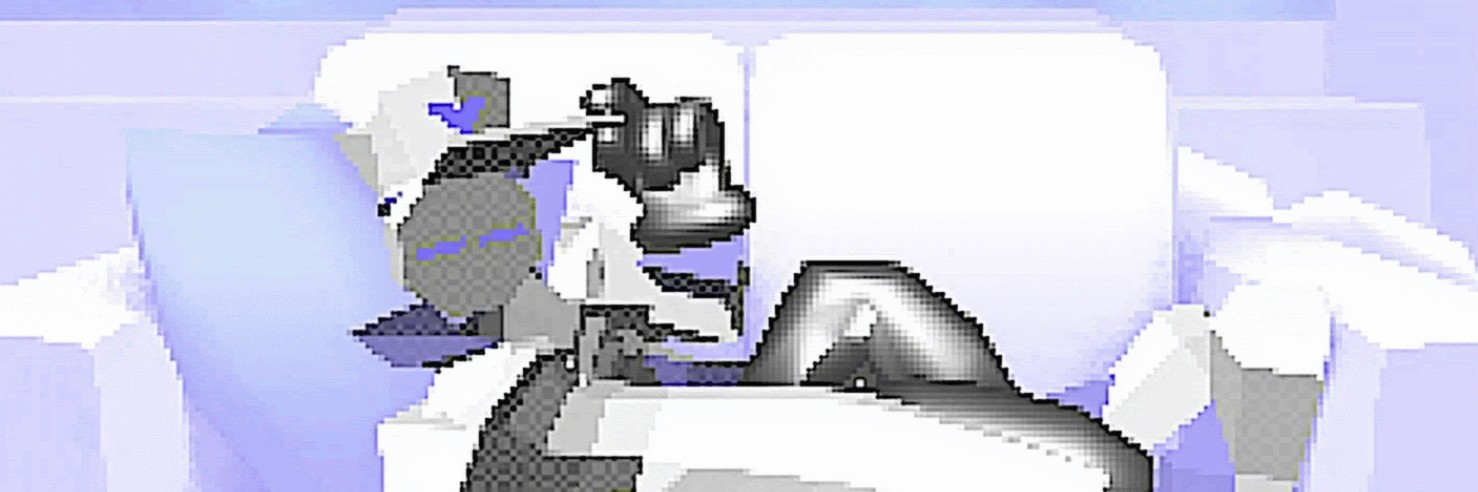 Profile banner