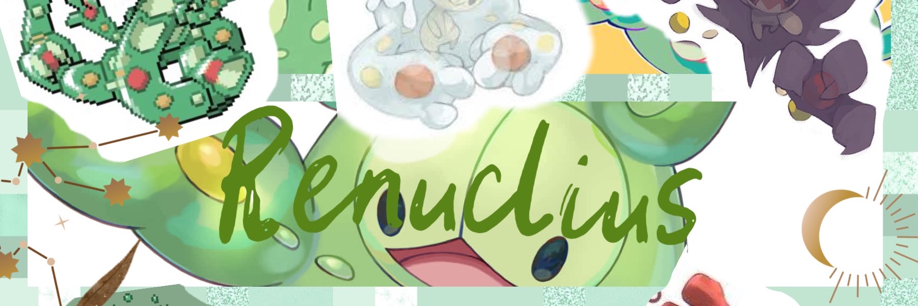 Profile banner