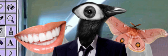 Profile banner