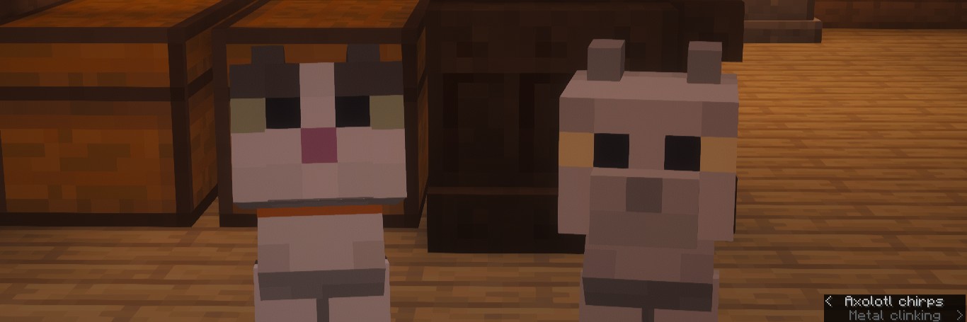 Profile banner