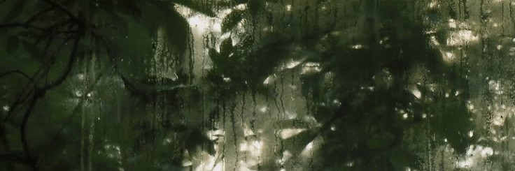 Profile banner