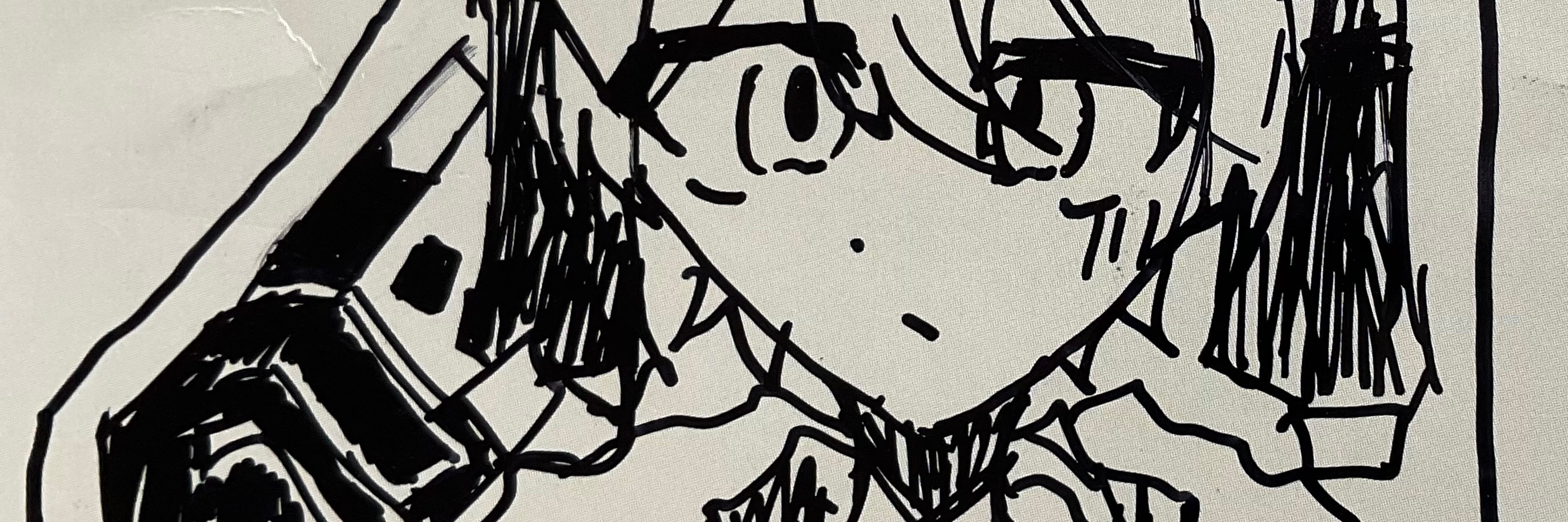 Profile banner