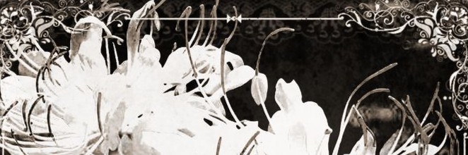 Profile banner