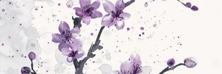 Profile banner