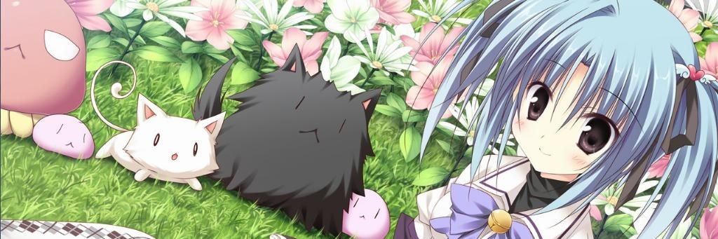 Profile banner