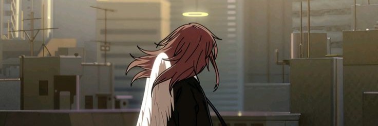 Profile banner
