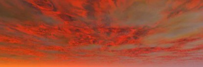 Profile banner