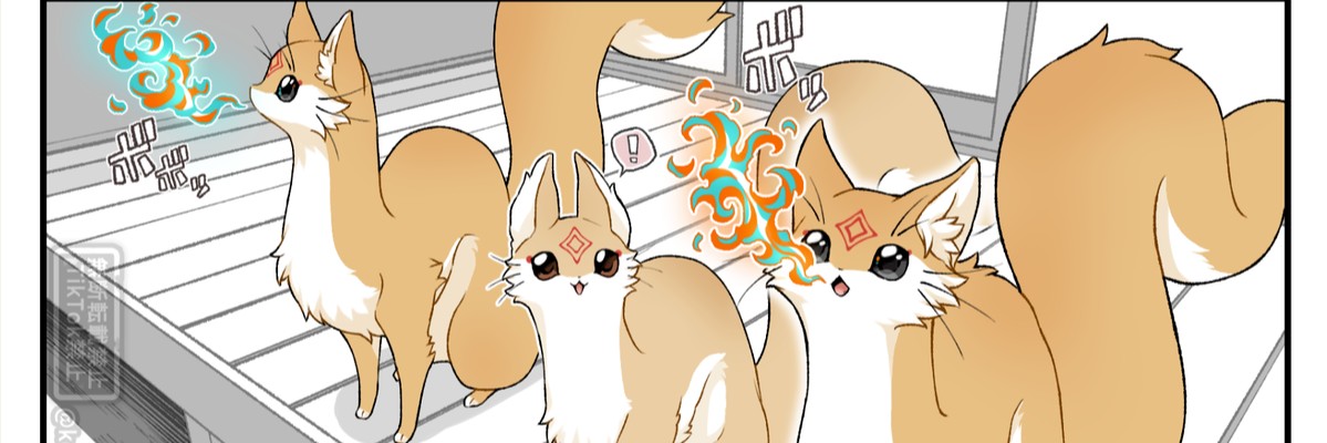 Profile banner