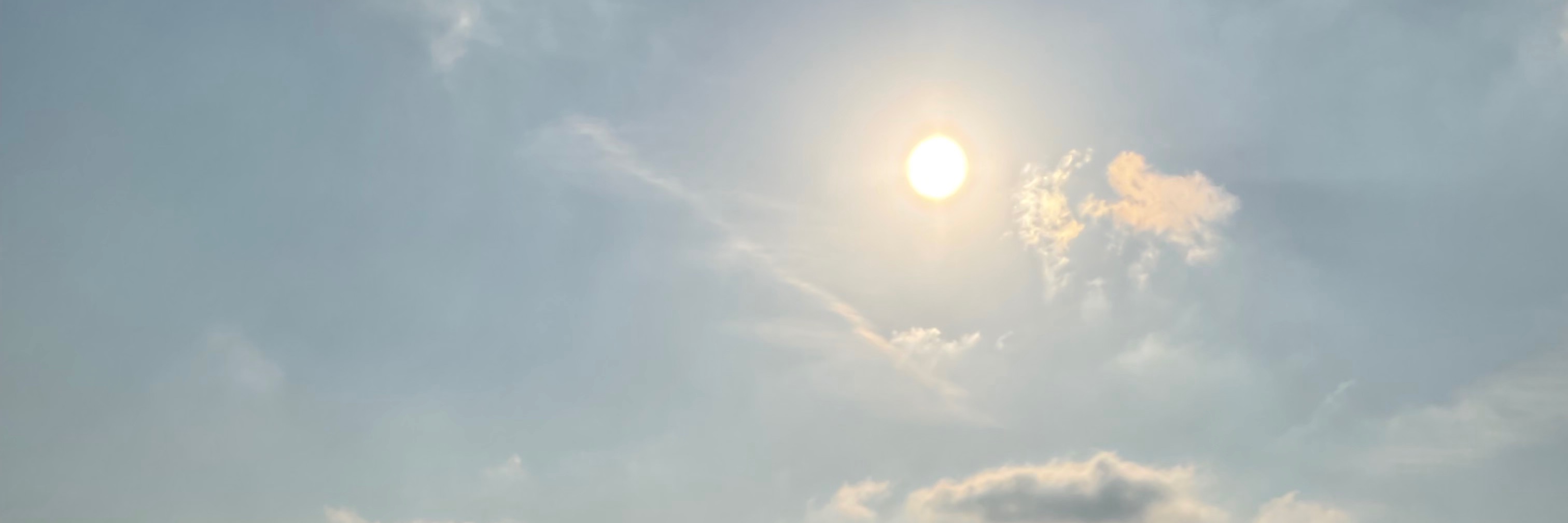 Profile banner