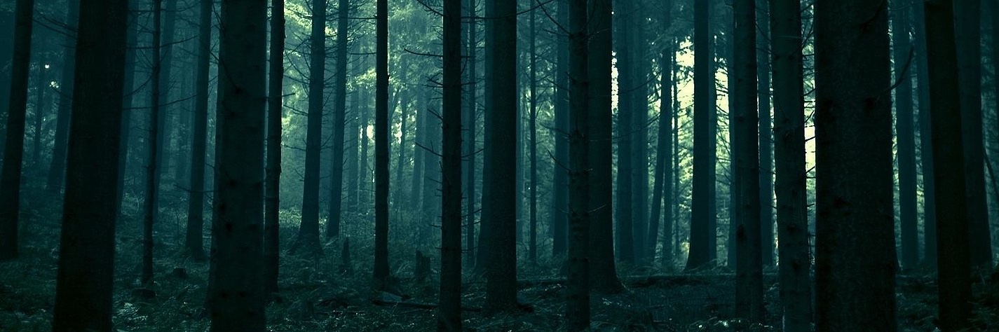 Profile banner