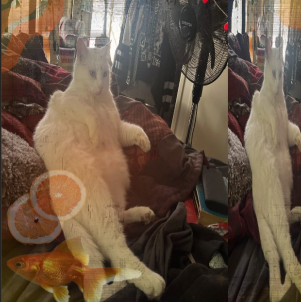 Flora0nDaFloor's avatar