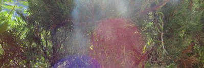 Profile banner