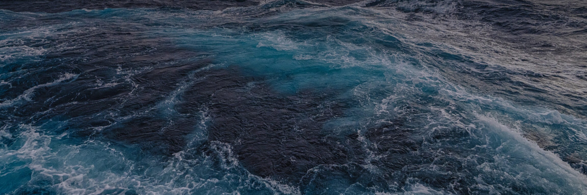 Profile banner